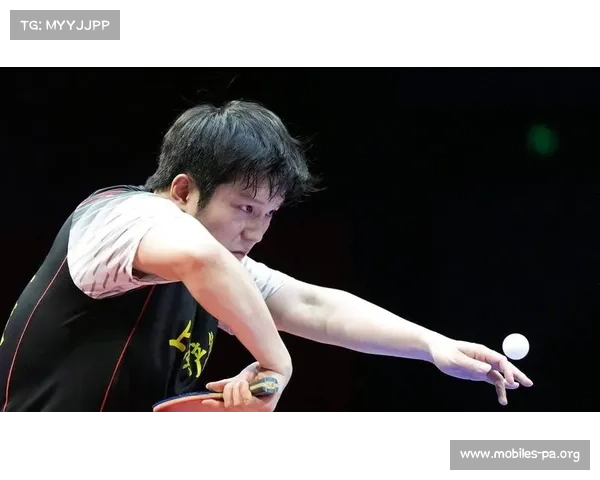 樊振东强势回归赛场全场热烈欢呼人气依旧火爆引爆全场 樊振东强势回归赛场全场热烈欢呼人气依旧火爆引爆全场