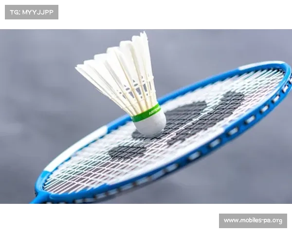 即时羽毛球超级赛赛前深度分析聚焦焦点对决与战术布局