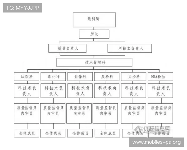 NHL进攻组织端表现获得专家高度评价与一致认可 NHL进攻组织端表现获得专家高度评价与一致认可