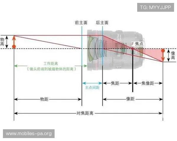 围绕球技体测得分表现解析打造全面能力评估与提升视角策略指南篇